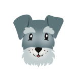 zvířátka